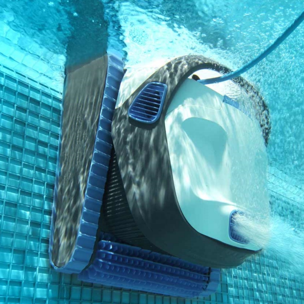 2025 Neue Produkte Dolphin S30 – Pool Cleaner Robot With App Bewertung und Preis