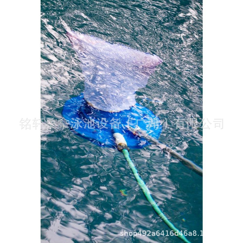 Schwimmbad-Saugkopf, Vakuumbür – Pool Vacuum Head Brush Bewertung und Preis